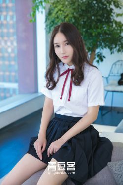 新女婿时代剧情介绍